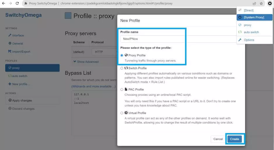 SwitchyOmega Proxy Profile